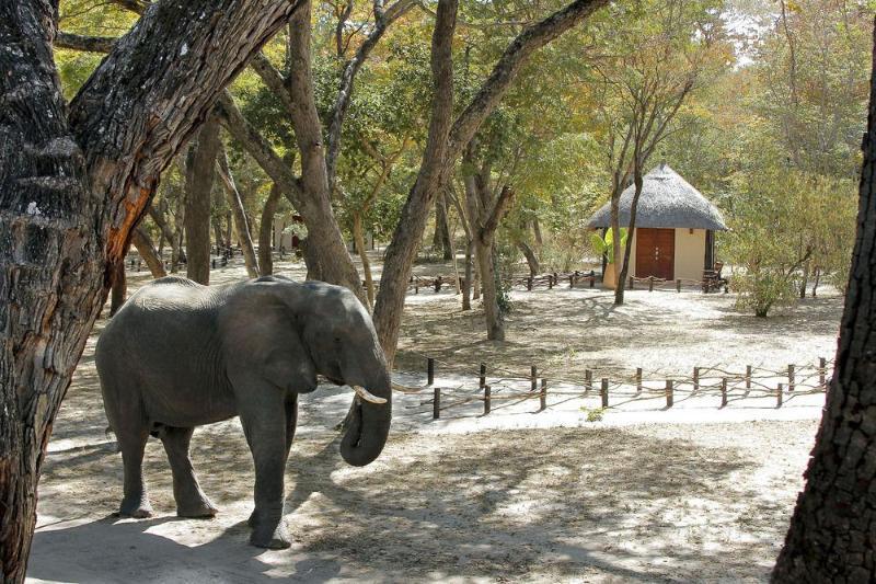 Gwango Elephant Lodge Hwange National Park Esterno foto